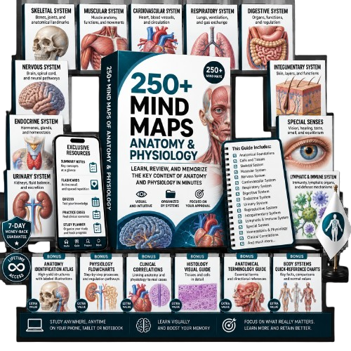 250+ Anatomy & Physiology Mind Maps Pack